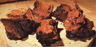 北歐,超級食物,保健食品,健康食品,白樺茸,抗氧化,抗癌,提升免疫力, 預防糖尿病, 預防高血壓, 降膽固醇, 改善亞健康, 芬蘭, 無污染, 預防乳癌, 預防肝癌, 預防胃癌,預防子宮癌,清潔血液,改善疲倦,改善腸胃,提升肝功能