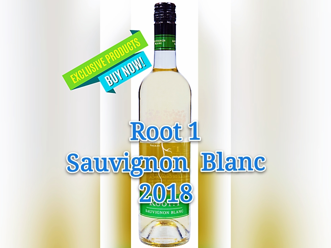 智利白酒 Root1 SAUVIGNON BLANC 2018 (每箱12支)