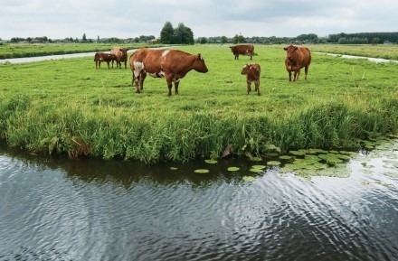 芬蘭,finland,芬蘭食品,地理位置和氣候,fintaural,北歐,健康生活,無污染,天然,有機,大自然