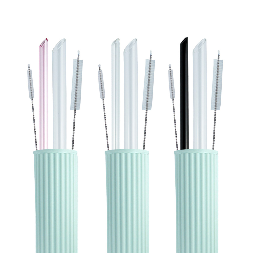 愛地球斜口玻璃吸管5件組(附刷+盒)