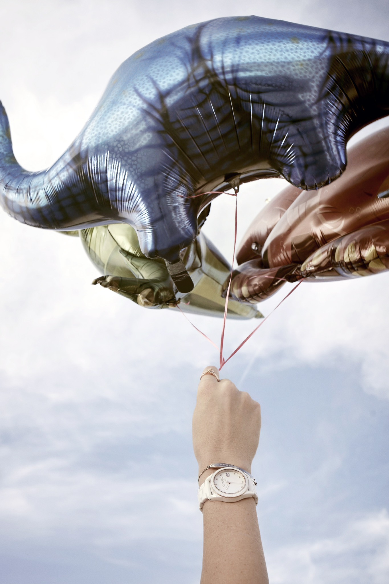 萬年鐘錶 - COACH錶  女錶 陶瓷錶 14503263 表徑36MM