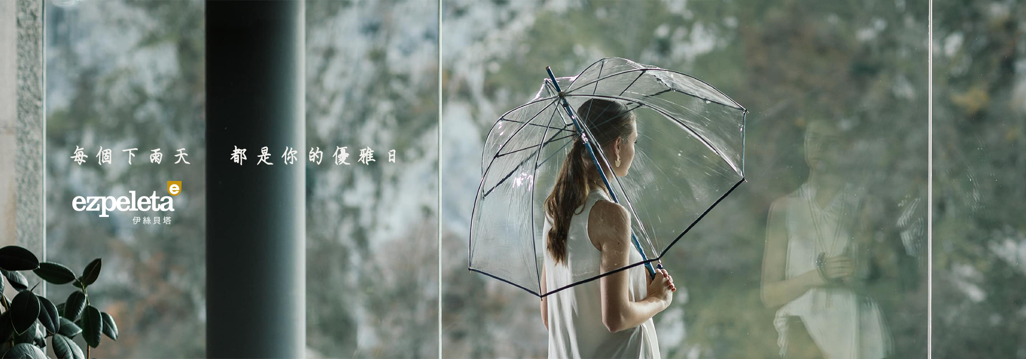 10794 絢彩傘骨透明傘