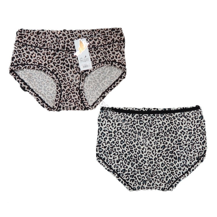 4條裝 岱琦詩: 女裝中腰豹紋內褲