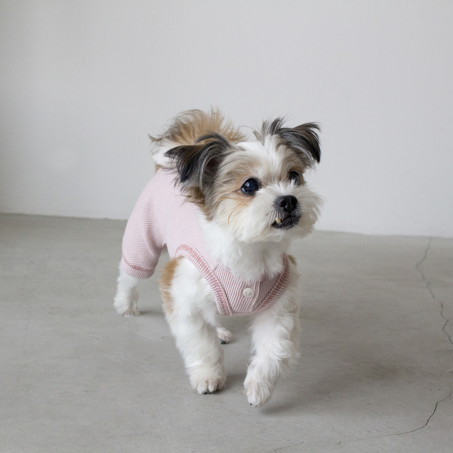 ★Dentist Appointment★ 鬆餅格紋連身褲