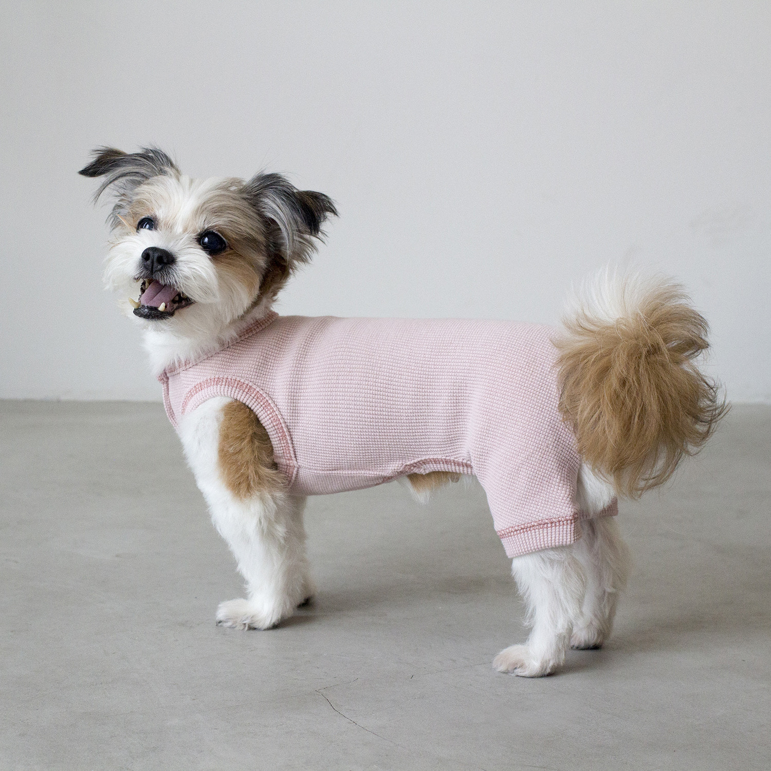 ★Dentist Appointment★ 鬆餅格紋連身褲