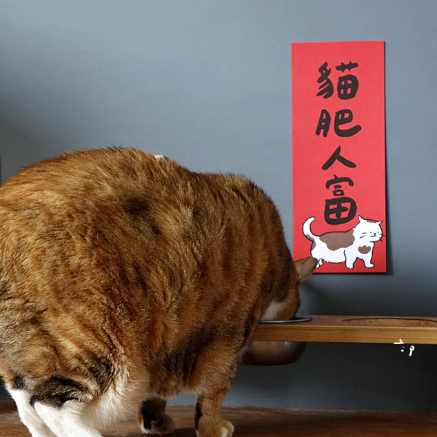 貓肥人富春聯