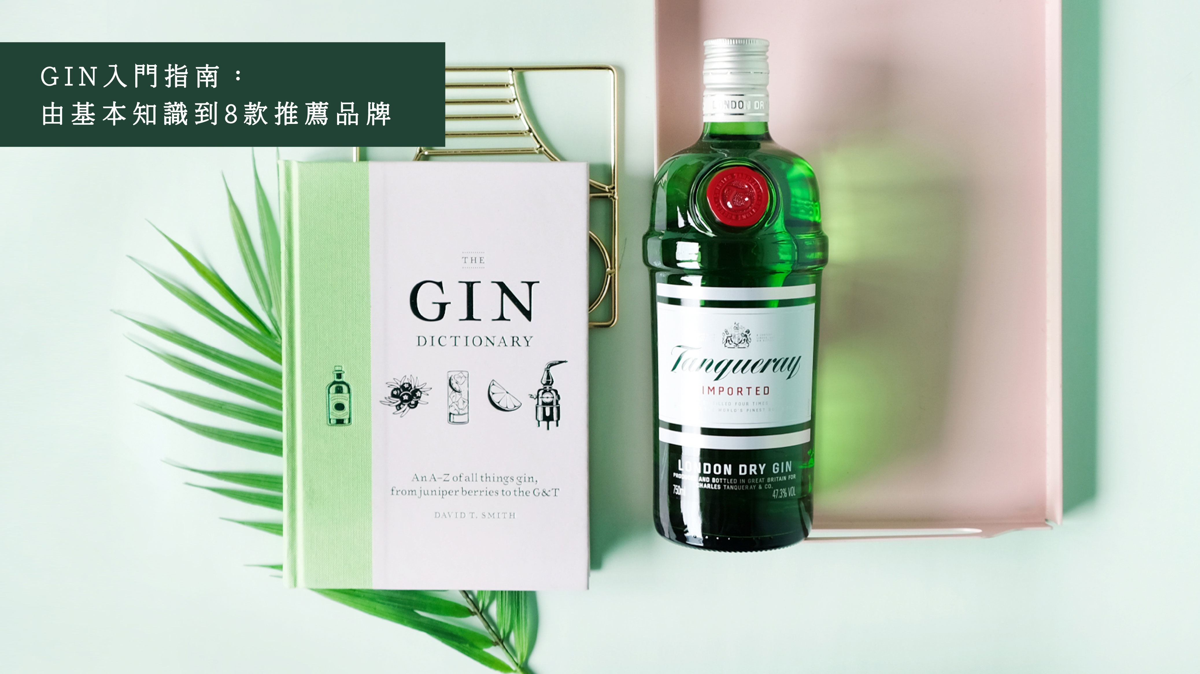 a-beginners-gin-guide