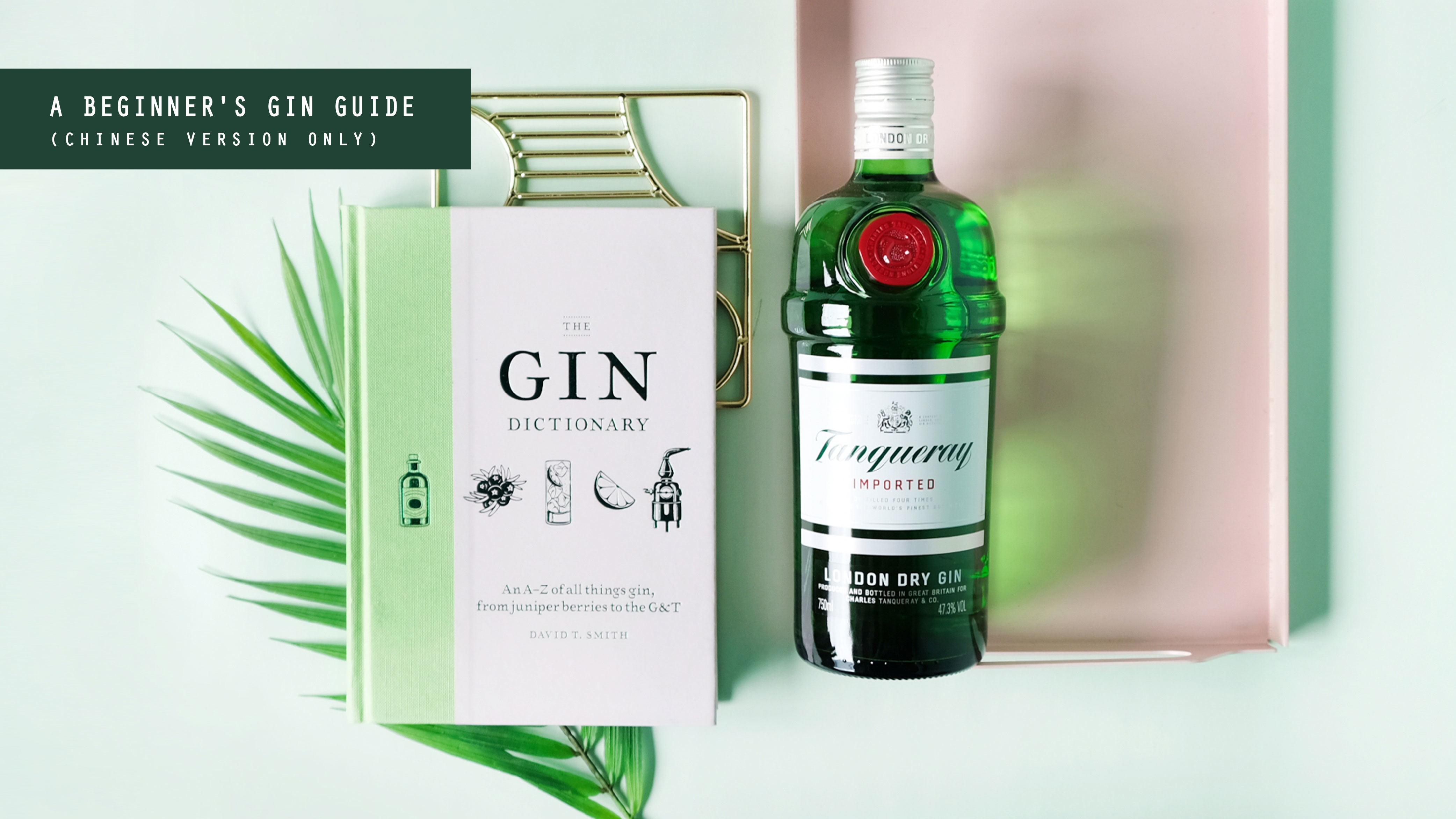 a-beginners-gin-guide