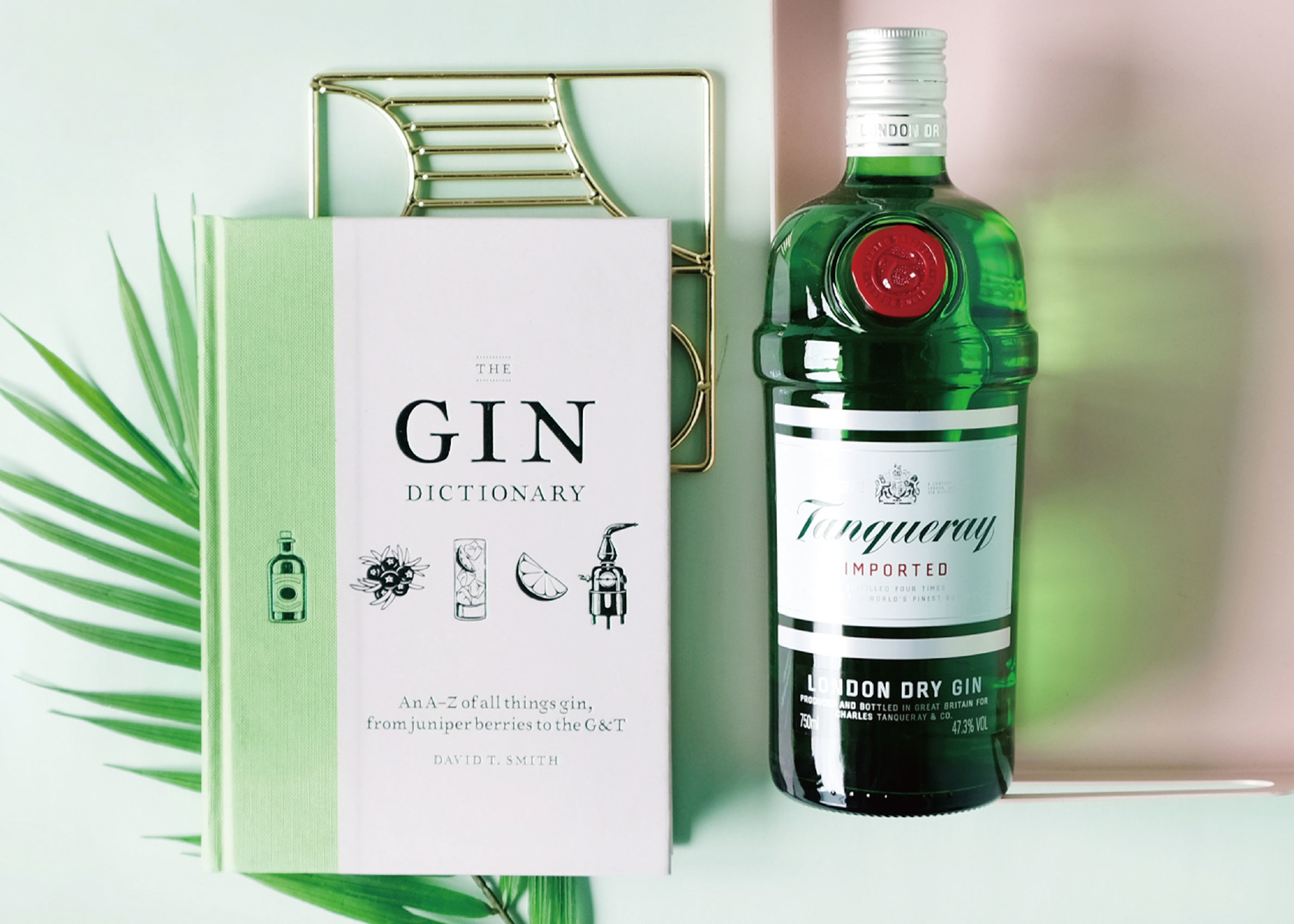 a-beginners-gin-guide