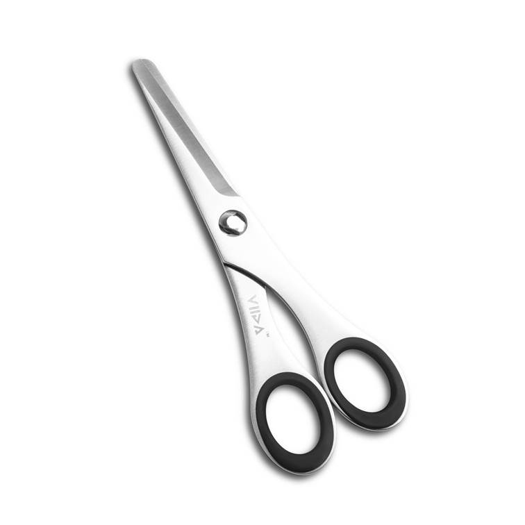 【台灣VIIDA】Glow 不鏽鋼食物剪