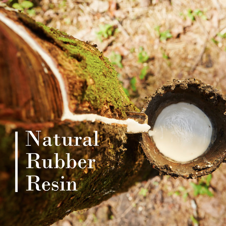 天然橡膠,橡膠樹脂,瑜珈墊,NR環保材質