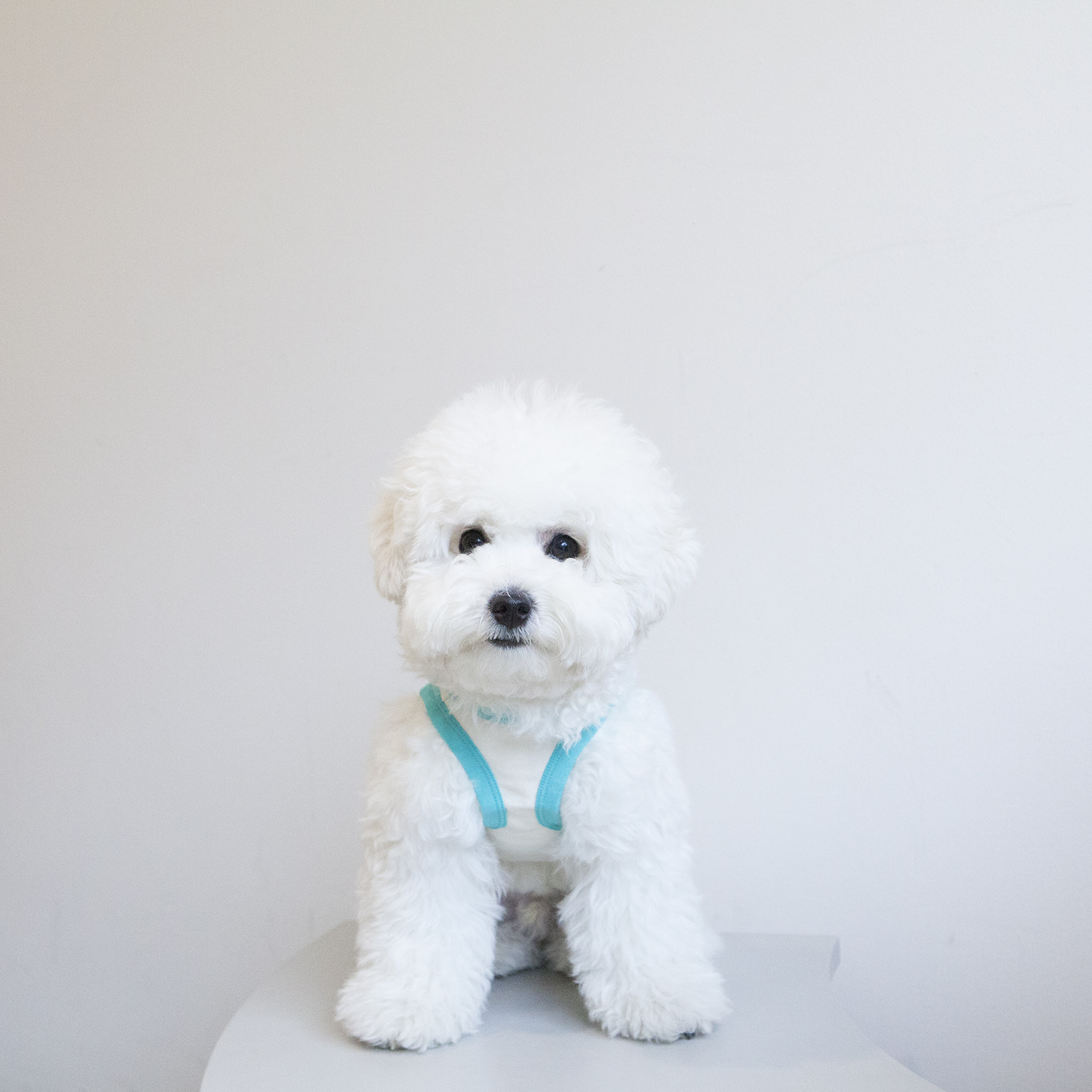 ★Dentist Appointment★ 幼兒園無袖背心 (薄荷綠)