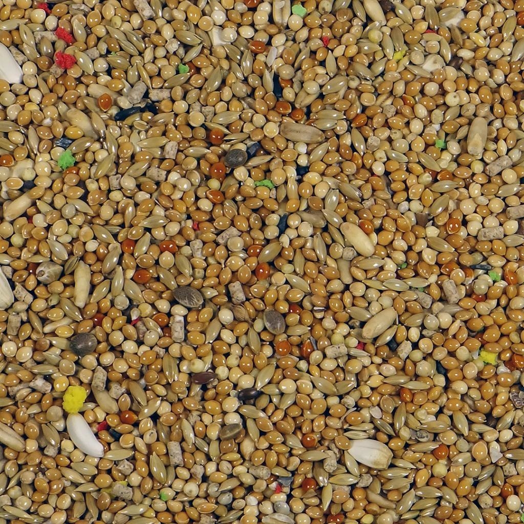 【偉特】小型鸚鵡飼料1kg