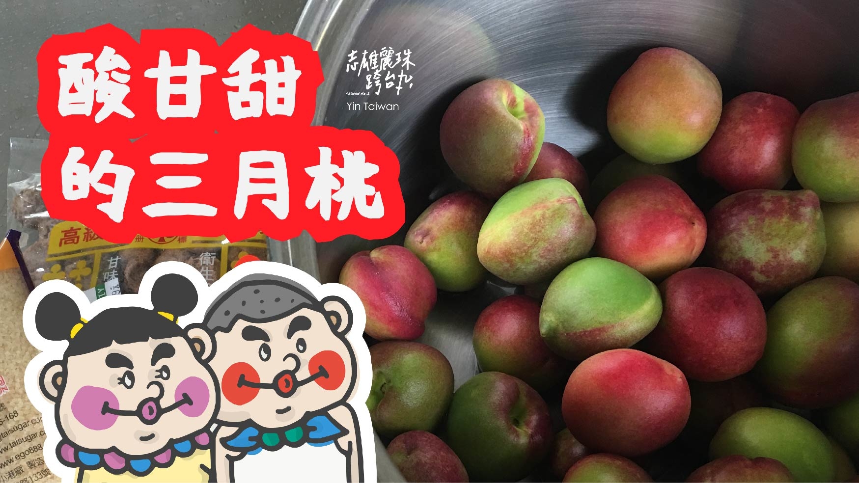 【 志雄麗珠跨台丸 】酸甘甜的三月桃 ＿ 只有這個節氣才有的酸甜回憶