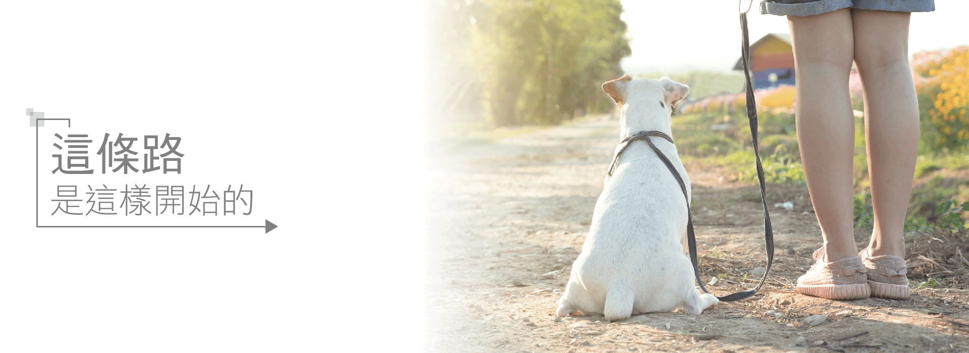 動物保護，救牲這條路，是這樣開始的