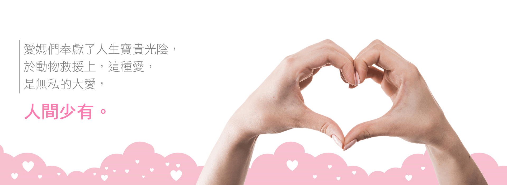 流浪狗園區愛心媽媽，無私的大愛人間少有