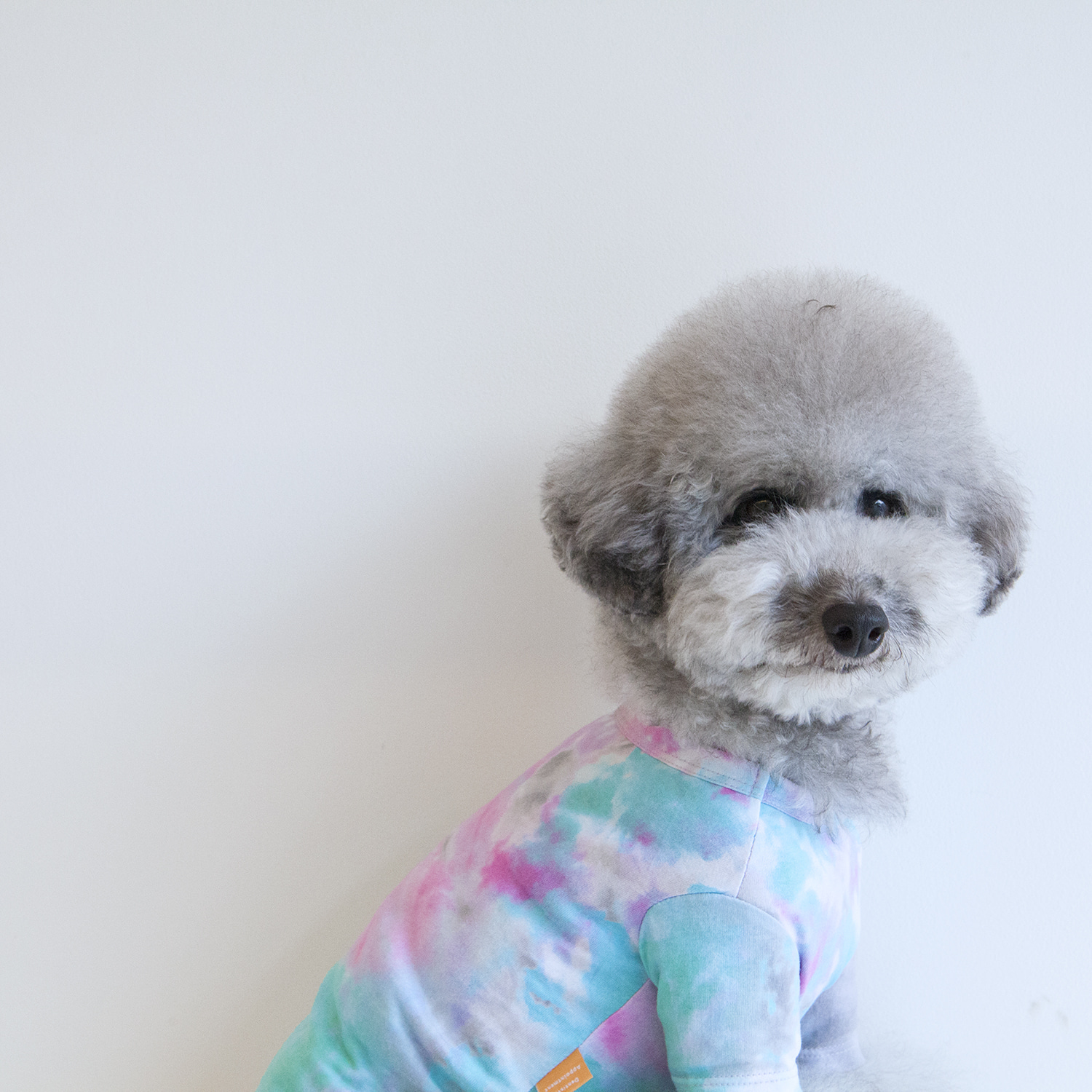 ★Dentist Appointment★ 水染純棉 T-Shirt (Aqua x Pink)