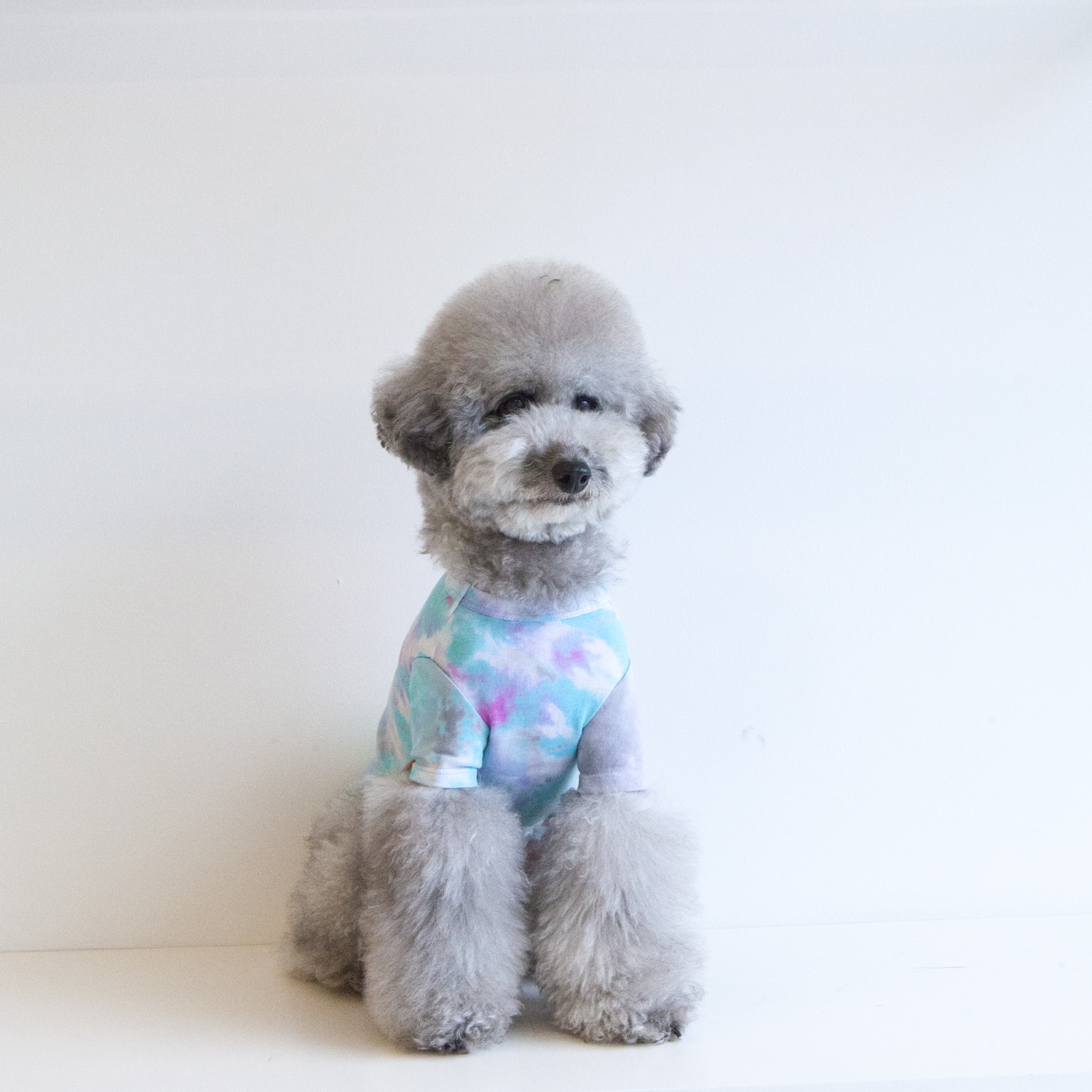 ★Dentist Appointment★ 水染純棉 T-Shirt (Aqua x Pink)