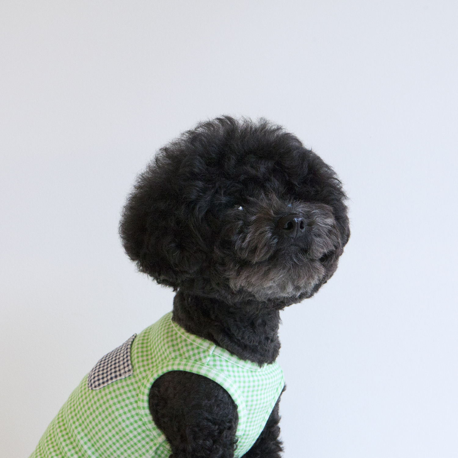 ★Dentist Appointment★ Check Check 格紋背心 (綠)