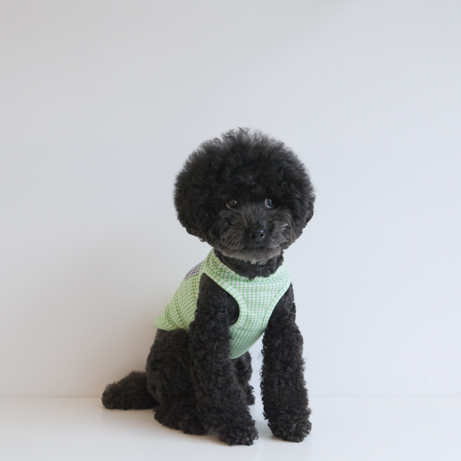 ★Dentist Appointment★ Check Check 格紋背心 (綠)