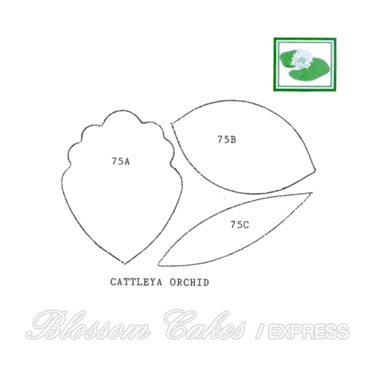 Framar Cutters - 75S Cattleya Orchid Cutter Set - L