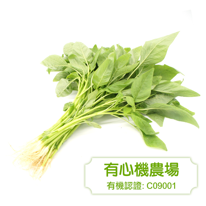 [有心機] 有機青莧菜 1磅(453g)