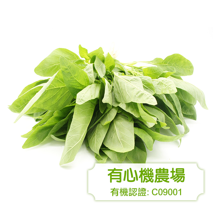 [有心機] 有機青莧菜 1磅(453g)
