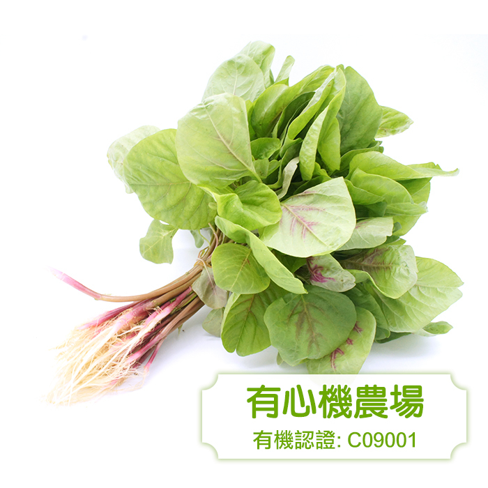 [有心機] 有機紅莧菜 1磅 (453g)
