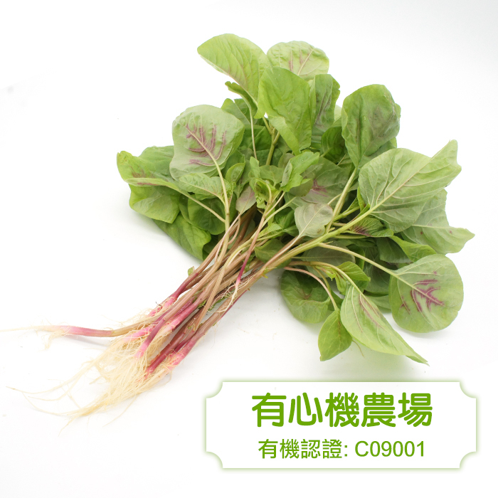 [有心機] 有機紅莧菜 1磅 (453g)