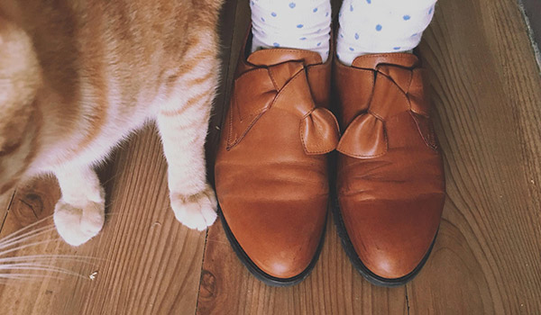 扭扭鞋幾乎要變成我每天都穿的鞋