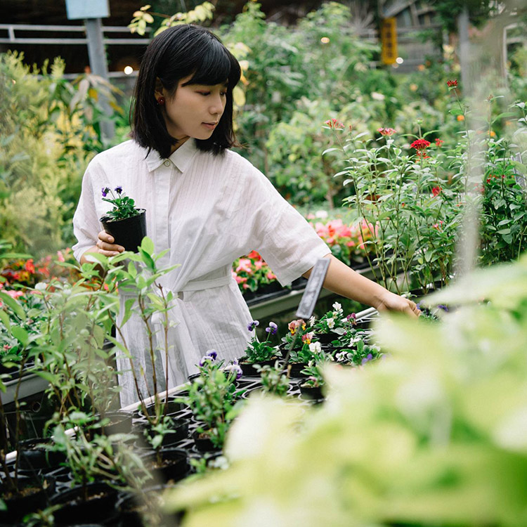 夏日純淨綁帶短袖白襯衫顧客實穿心得
