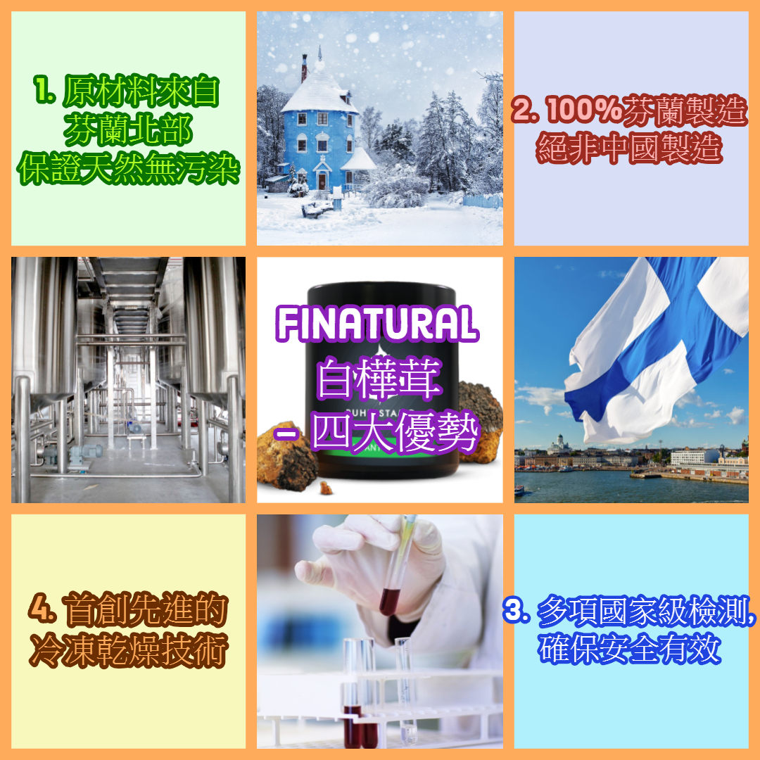 白樺茸,白樺茸香港,姬松茸,亞健康,三高,chaga,超級食物,保健產品,健康食品,北歐保健,北歐健康食品,無污染,安全,強肝,提神,抗氧化,提升免疫力,降膽固醇,預防癌症,抗癌,Finatural,Supplement,芬蘭保健,白樺茸即沖飲,靈芝