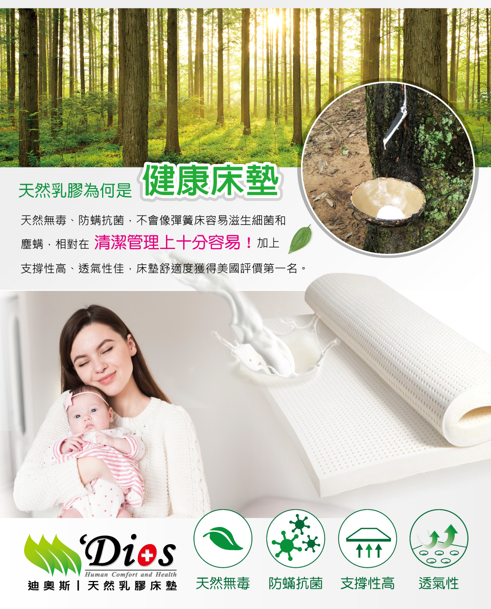 天然乳膠是健康床墊