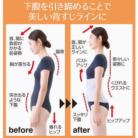 日本製 Doctor Series Perplexity Belt 矯形修身腰帶 【日本整形外科學會骨科專家開發品牌】
