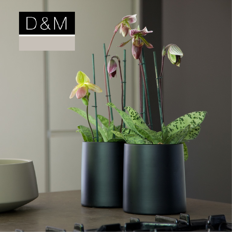 D&M,花器