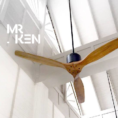 Mr.Ken,吊扇
