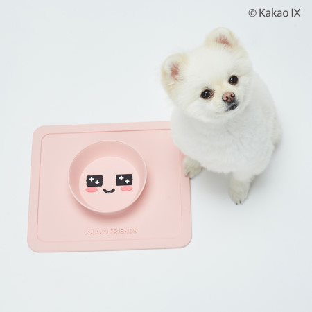 Kakao Friends Non-slip Puppy Rice Bowl
