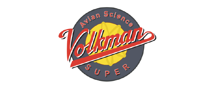 Volkman