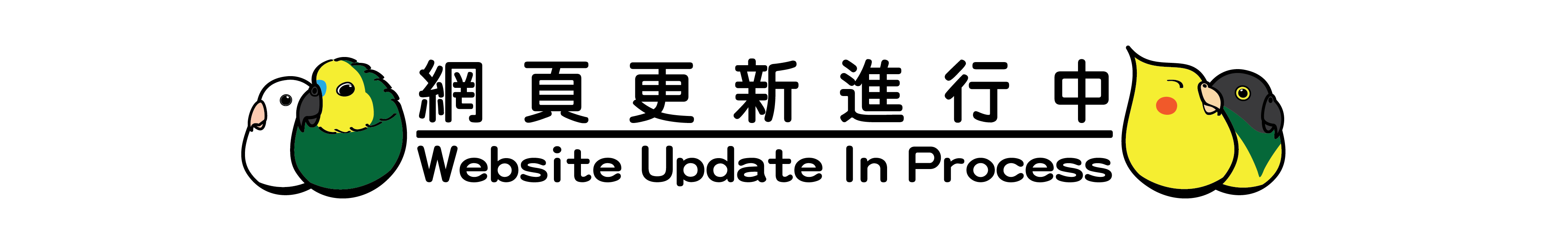 Website Update in process