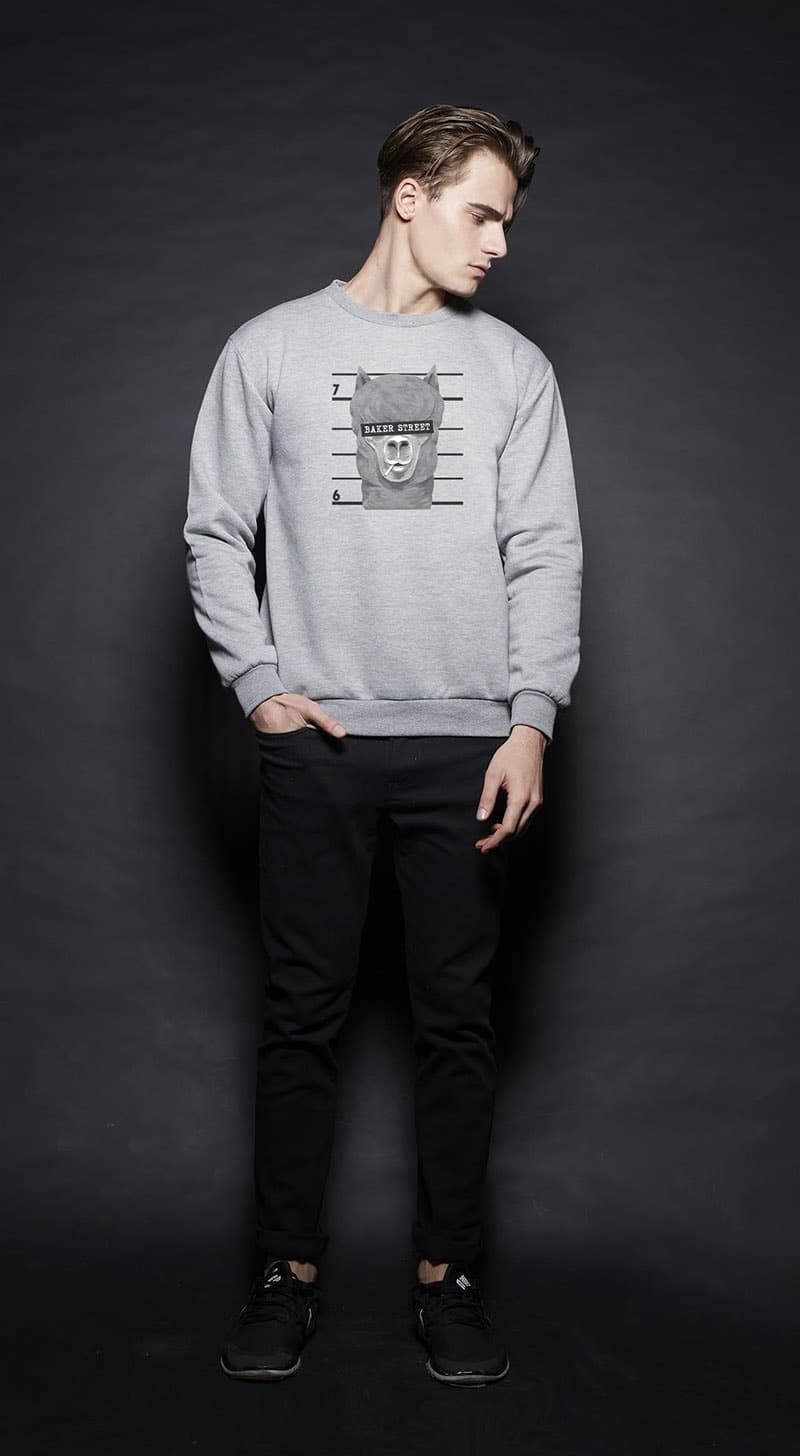 No Good Alpaca 監獄羊駝 高磅數長袖圓T