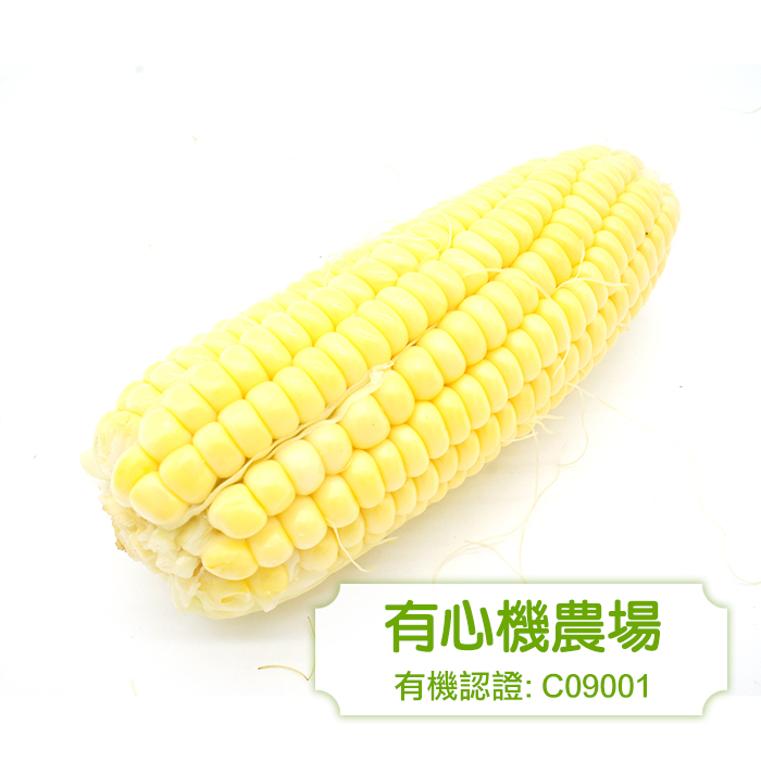 [有心機] 有機超甜粟米 1支
