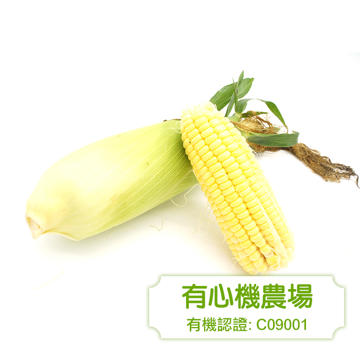 [有心機] 有機超甜粟米 1支