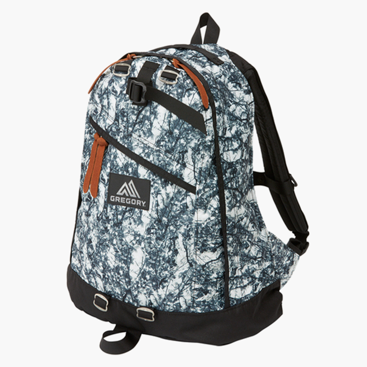 Gregory Day Pack