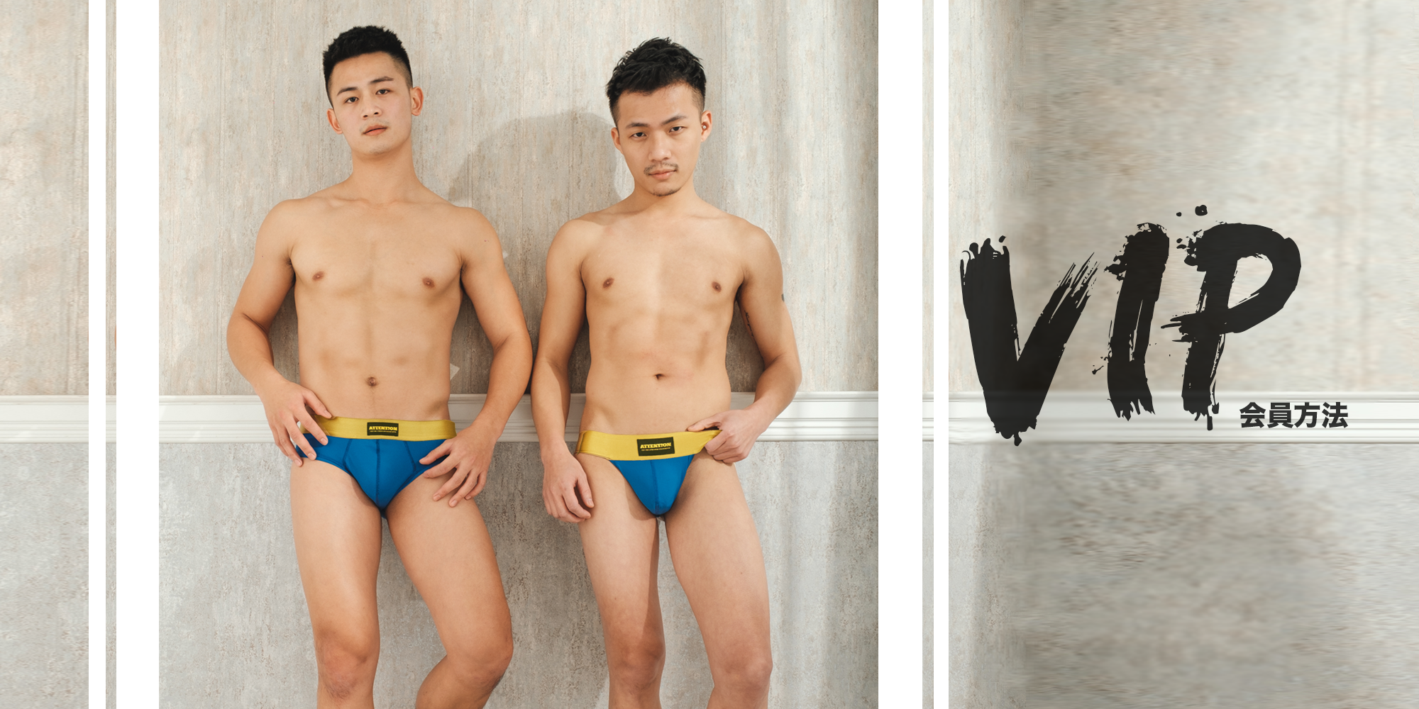 VIP會員優惠與方法