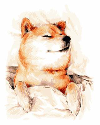 【DT155】微笑柴柴