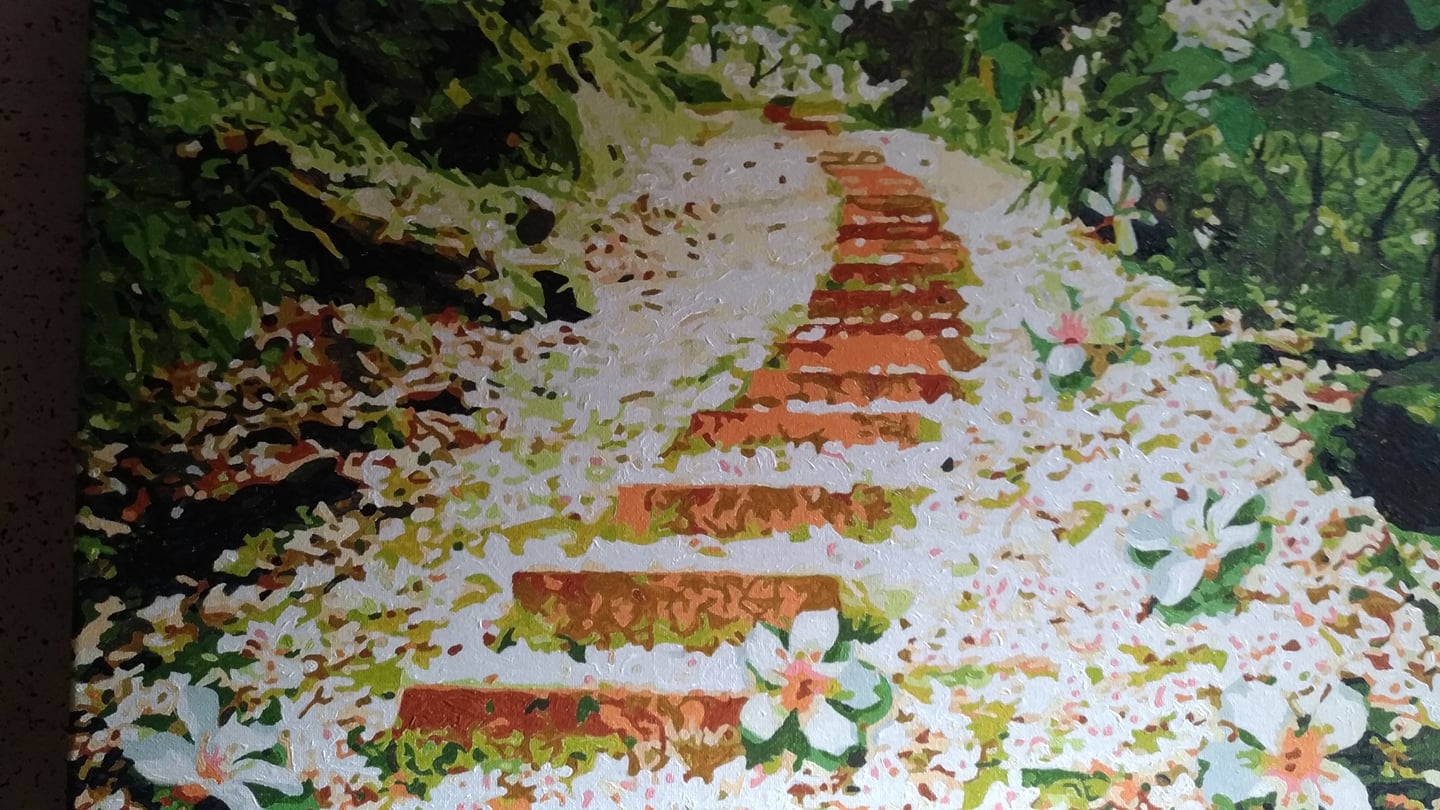 【TW022】台灣風情誌-客家桐花季_五月雪油桐花