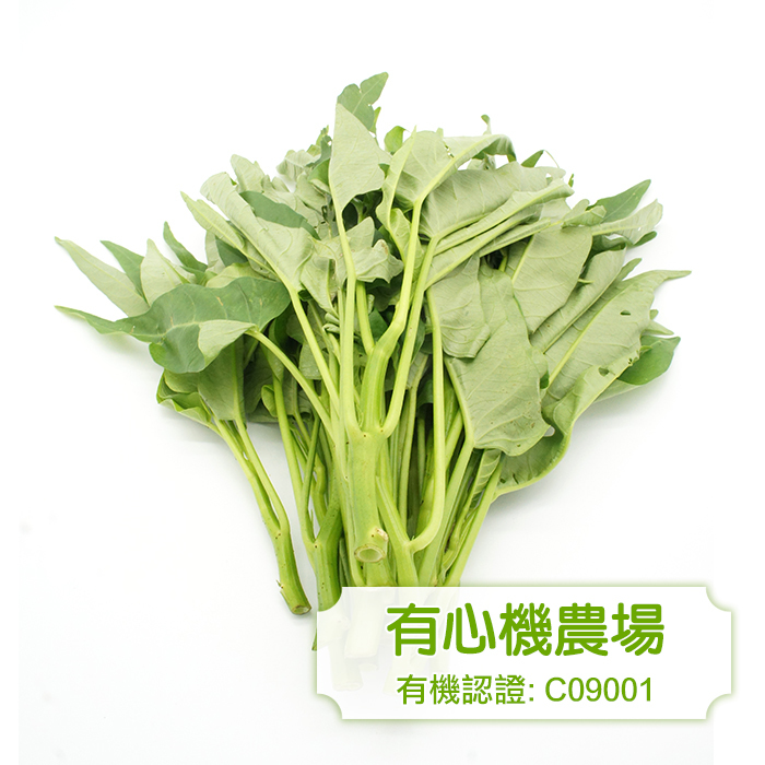 [有心機] 有機青通菜 1磅 (453g)