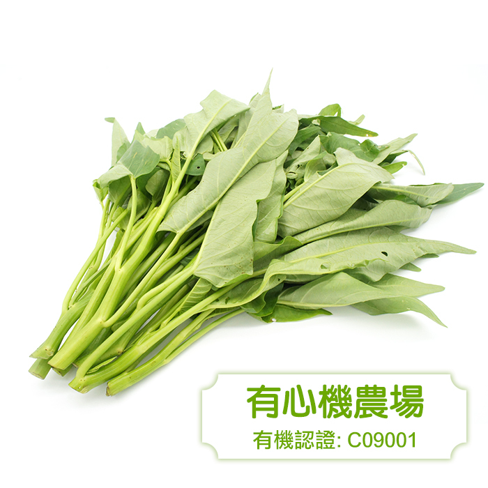 [有心機] 有機青通菜 1磅 (453g)
