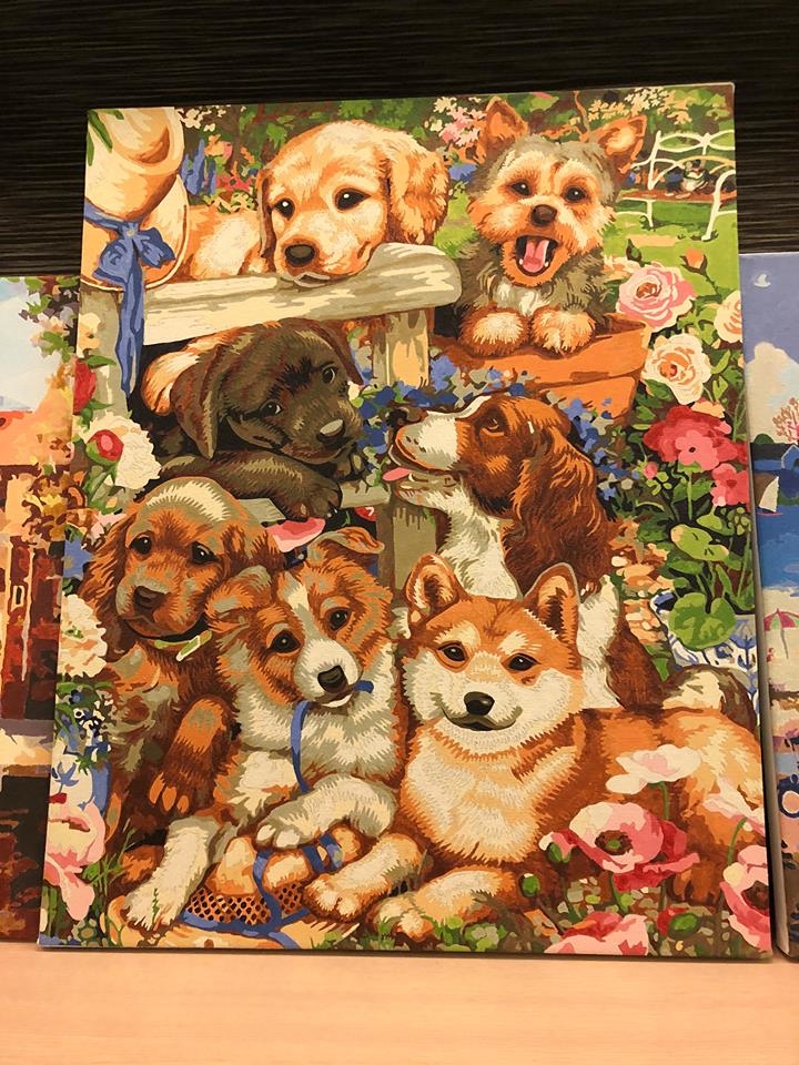 【DT046】歡樂家族