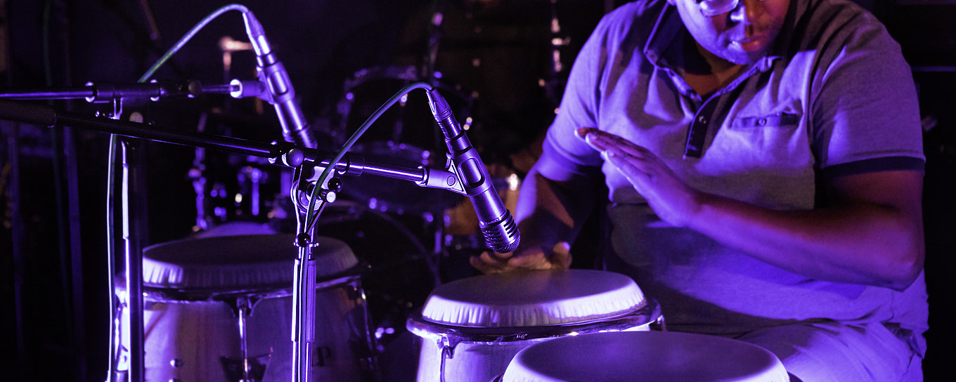 Lewitt LEWITT - MTP 440 DM 專業型麥克風 動圈式麥克風 人聲麥克風 音質佳 主唱必備 第 5 張圖片｜三峽銅管 / 管樂